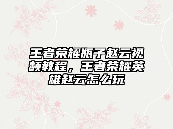 王者荣耀瓶子赵云视频教程，王者荣耀英雄赵云怎么玩