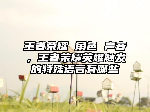 王者荣耀 角色 声音，王者荣耀英雄触发的特殊语音有哪些