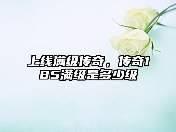 上线满级传奇，传奇185满级是多少级