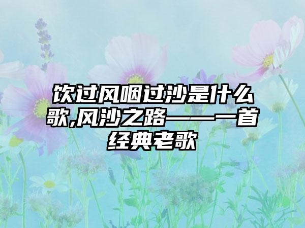 饮过风咽过沙是什么歌,风沙之路——一首经典老歌