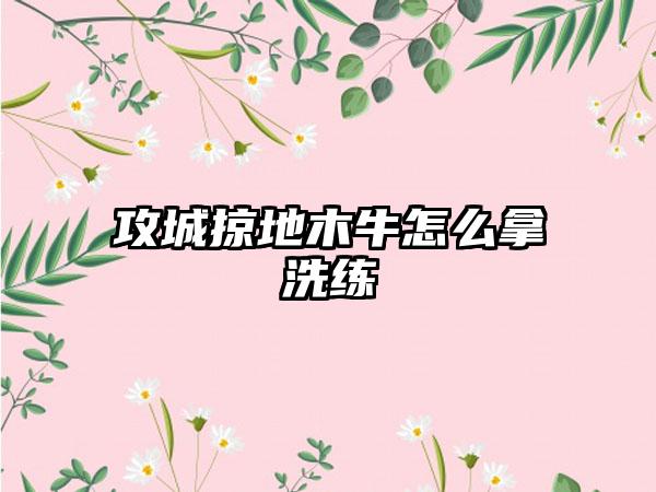 攻城掠地木牛怎么拿洗练