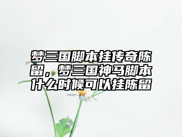 梦三国脚本挂传奇陈留，梦三国神马脚本什么时候可以挂陈留