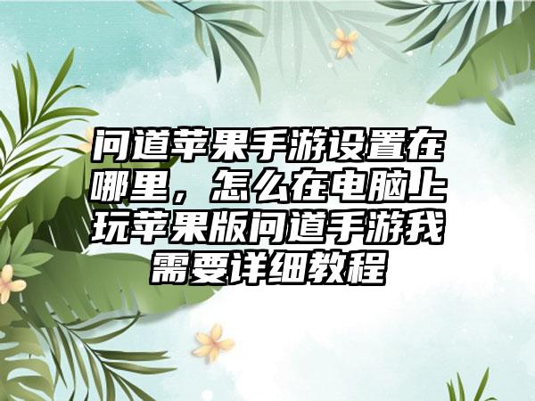 问道苹果手游设置在哪里,怎么在电脑上玩苹果版问道手游我需要详细教程