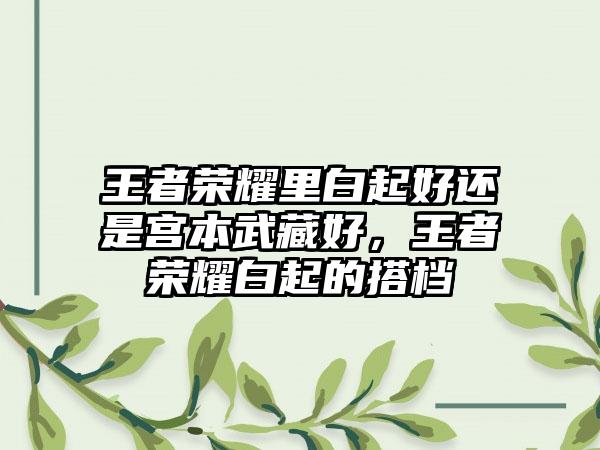 王者荣耀里白起好还是宫本武藏好，王者荣耀白起的搭档