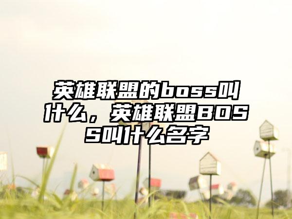 英雄联盟的boss叫什么,英雄联盟BOSS叫什么名字