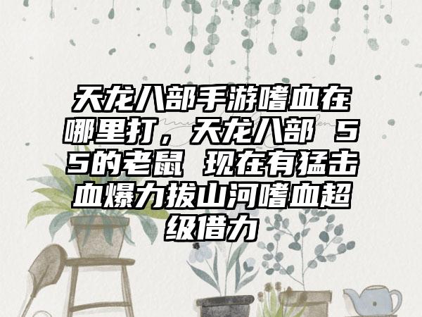 天龙八部手游嗜血在哪里打，天龙八部 55的老鼠 现在有猛击血爆力拔山河嗜血超级借力