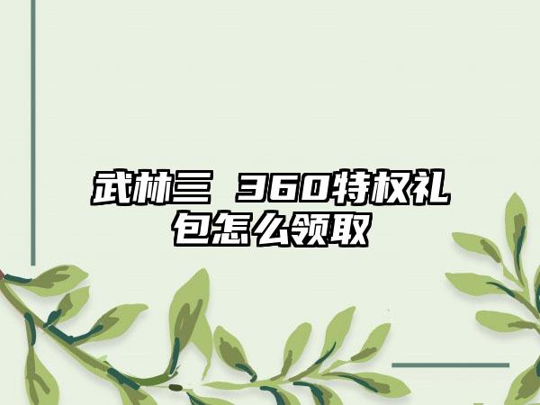 武林三 360特权礼包怎么领取