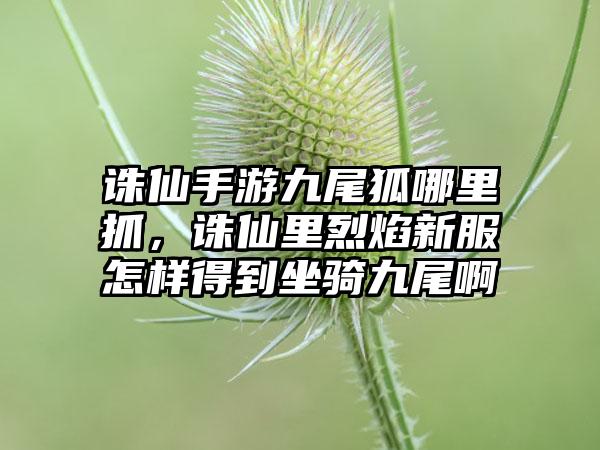 诛仙手游九尾狐哪里抓,诛仙里烈焰新服怎样得到坐骑九尾啊