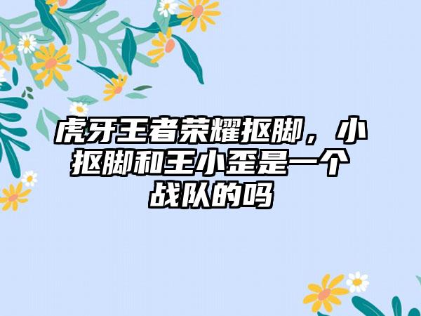 虎牙王者荣耀抠脚，小抠脚和王小歪是一个战队的吗