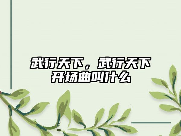 武行天下，武行天下开场曲叫什么