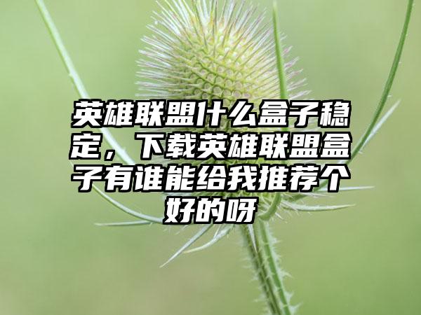 英雄联盟什么盒子稳定,下载英雄联盟盒子有谁能给我推荐个好的呀