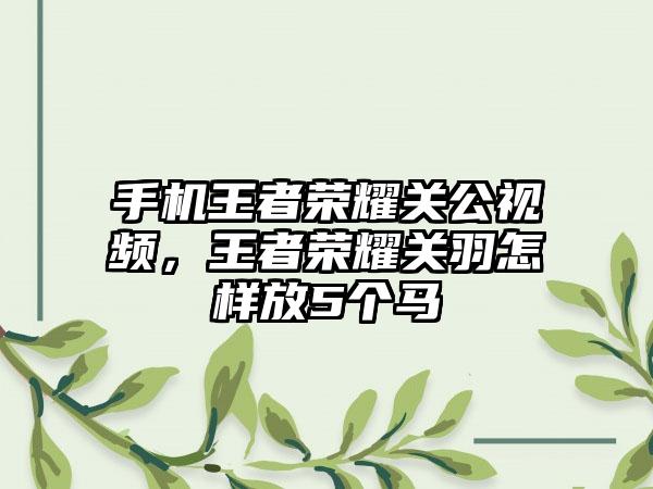 手机王者荣耀关公视频,王者荣耀关羽怎样放5个马