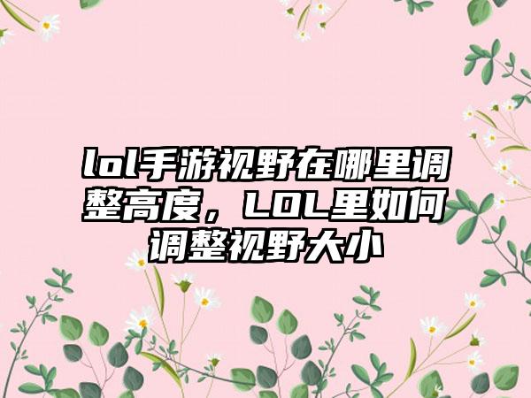 lol手游视野在哪里调整高度，LOL里如何调整视野大小