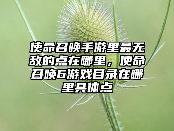 使命召唤手游里最无敌的点在哪里，使命召唤6游戏目录在哪里具体点