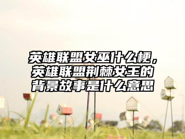 英雄联盟女巫什么梗，英雄联盟荆棘女王的背景故事是什么意思