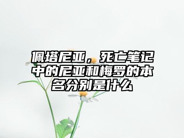 佩塔尼亚，死亡笔记中的尼亚和梅罗的本名分别是什么