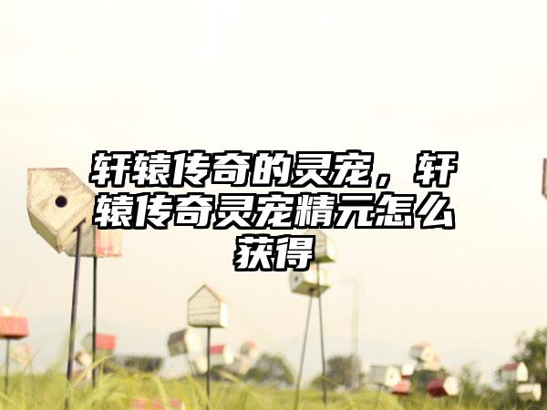 轩辕传奇的灵宠，轩辕传奇灵宠精元怎么获得