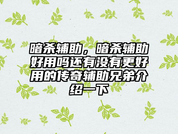 暗杀辅助，暗杀辅助好用吗还有没有更好用的传奇辅助兄弟介绍一下