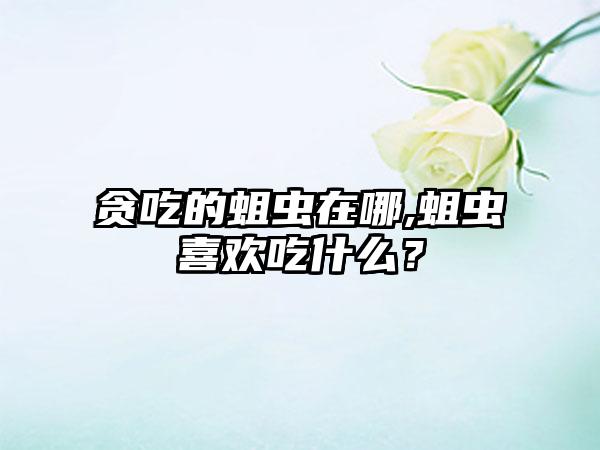 贪吃的蛆虫在哪,蛆虫喜欢吃什么？