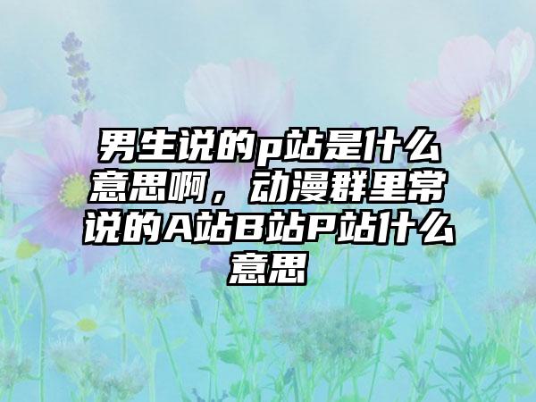 男生说的p站是什么意思啊，动漫群里常说的A站B站P站什么意思