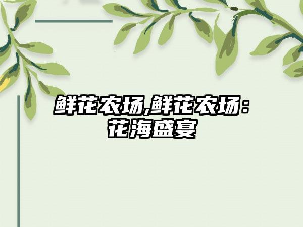 鲜花农场,鲜花农场：花海盛宴