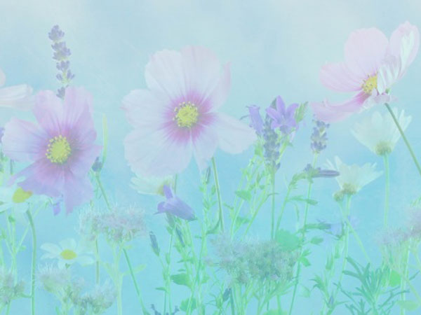 王者荣耀助手电脑版怎么设置，王者荣耀电脑版助手模拟器智能模式怎么设置左键改成攻击键