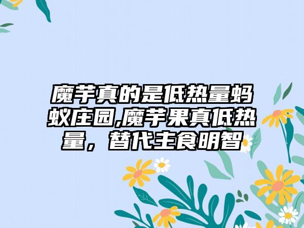 魔芋真的是低热量蚂蚁庄园,魔芋果真低热量，替代主食明智