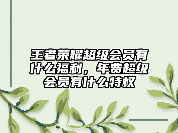 王者荣耀超级会员有什么福利,年费超级会员有什么特权