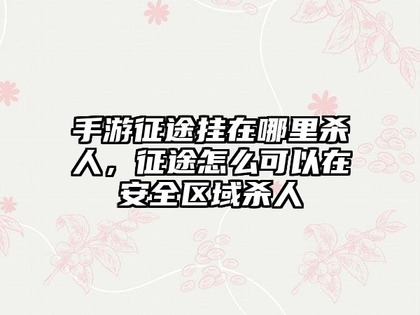 手游征途挂在哪里杀人，征途怎么可以在安全区域杀人
