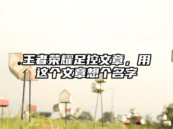 王者荣耀足控文章，用这个文章想个名字