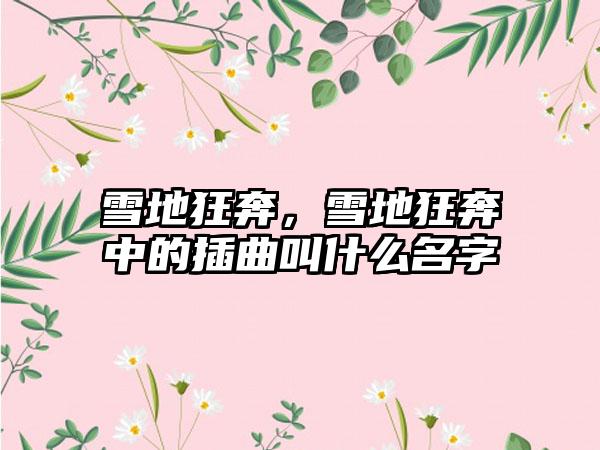 雪地狂奔，雪地狂奔中的插曲叫什么名字