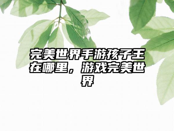 完美世界手游孩子王在哪里，游戏完美世界