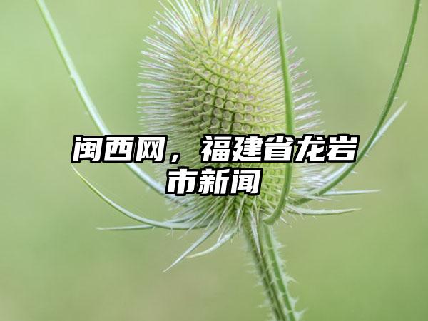 闽西网，福建省龙岩市新闻