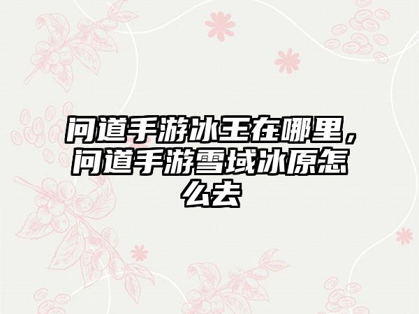 问道手游冰王在哪里，问道手游雪域冰原怎么去