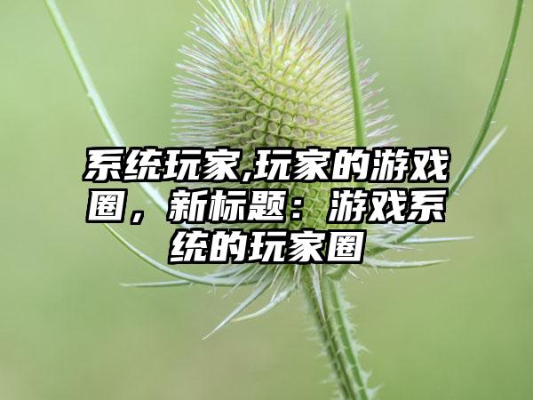 系统玩家,玩家的游戏圈，新标题：游戏系统的玩家圈