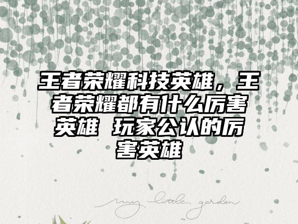 王者荣耀科技英雄，王者荣耀都有什么厉害英雄 玩家公认的厉害英雄