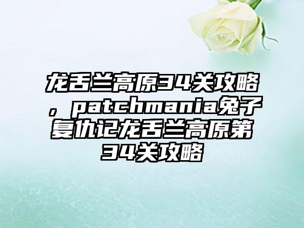 龙舌兰高原34关攻略,patchmania兔子复仇记龙舌兰高原第34关攻略