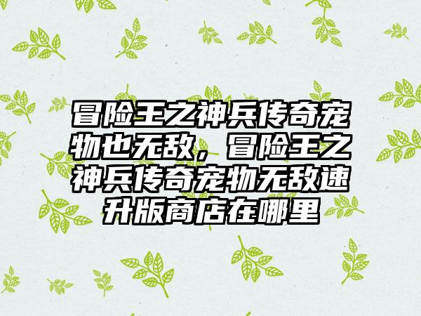 冒险王之神兵传奇宠物也无敌,冒险王之神兵传奇宠物无敌速升版商店在哪里