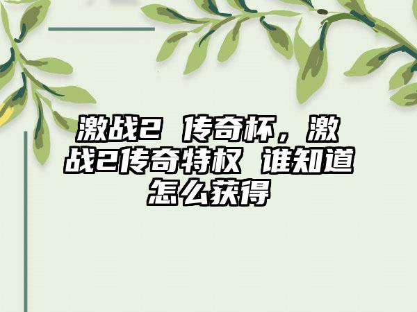 激战2 传奇杯，激战2传奇特权 谁知道怎么获得