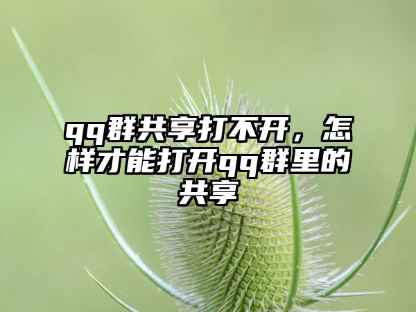 qq群共享打不开，怎样才能打开qq群里的共享
