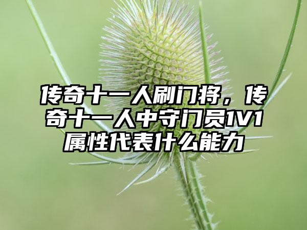 传奇十一人刷门将，传奇十一人中守门员1V1属性代表什么能力