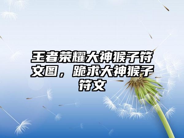 王者荣耀大神猴子符文图，跪求大神猴子符文