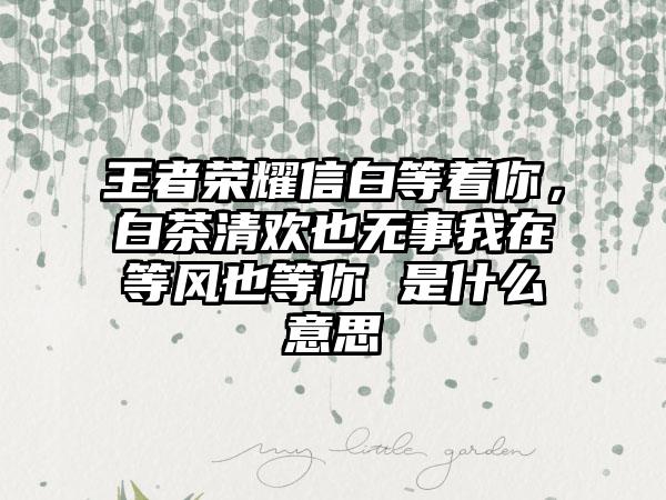 王者荣耀信白等着你，白茶清欢也无事我在等风也等你 是什么意思