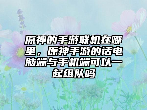 原神的手游联机在哪里，原神手游的话电脑端与手机端可以一起组队吗