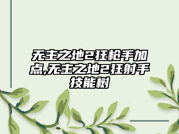 无主之地2狂枪手加点,无主之地2狂射手技能树