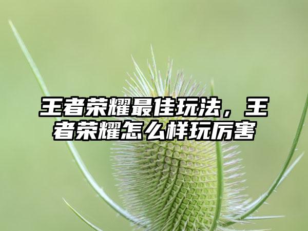 王者荣耀最佳玩法，王者荣耀怎么样玩厉害