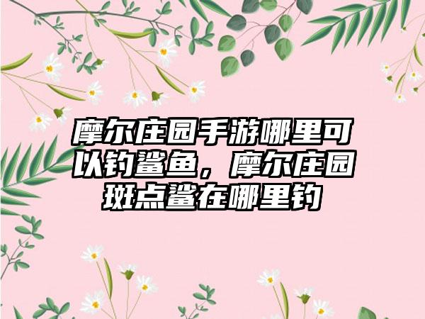 摩尔庄园手游哪里可以钓鲨鱼,摩尔庄园斑点鲨在哪里钓