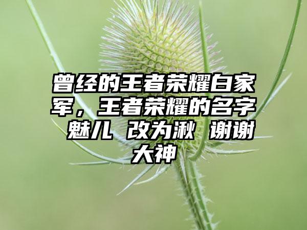 曾经的王者荣耀白家军，王者荣耀的名字 魅儿 改为湫 谢谢大神