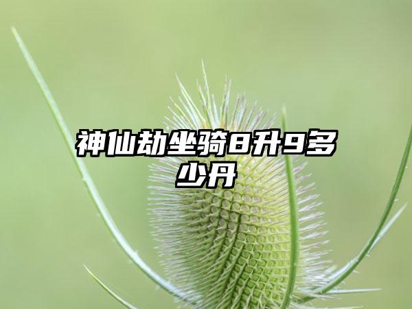 神仙劫坐骑8升9多少丹