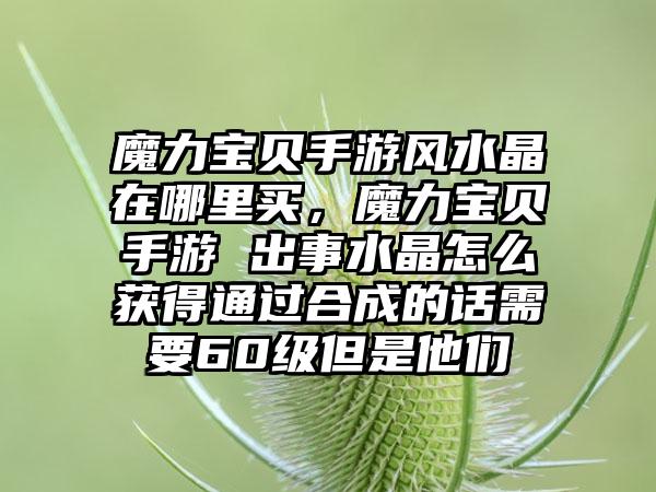 魔力宝贝手游风水晶在哪里买，魔力宝贝手游 出事水晶怎么获得通过合成的话需要60级但是他们